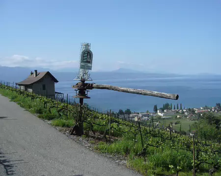 PXL022 morceau d'un ancien pressoir à raisin