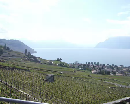 PXL024 exposition exceptionnelle, 80% de la surface pour le blanc et 20% pour le rouge