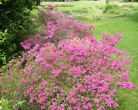 PXL055 Parc de l indépendance à Morges