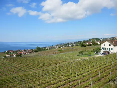 Jean-Philippe Jean-Philippe D, détail sortie