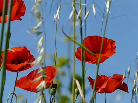 Christian Christian D, détail sortie