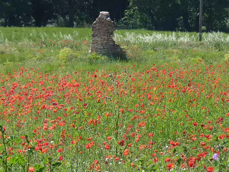 Marylise Marylise B, détail sortie