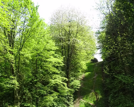 PXL010 Aqueduc de Dhuys