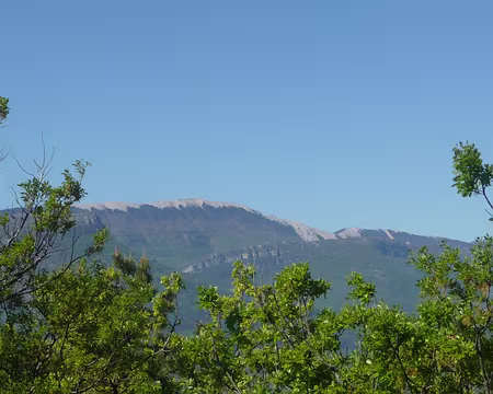 004 Les crêtes de la Montagne de Lure au loin