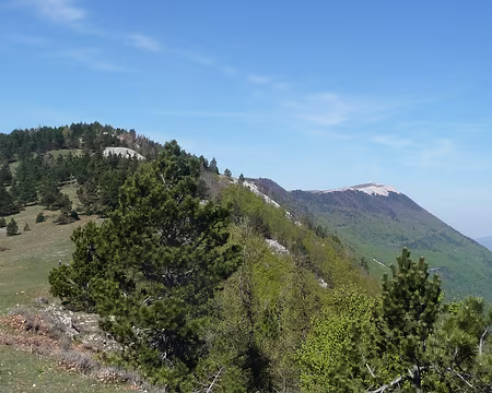 014 Les crêtes de la Montagne de Lure