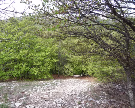 039 Belle descente…