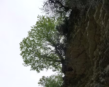 058 et falaise avant notre arrivée à Forcalquier