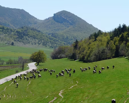 PXL006 Grand echalion