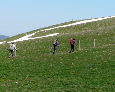 PXL032 Alpage font d'urle