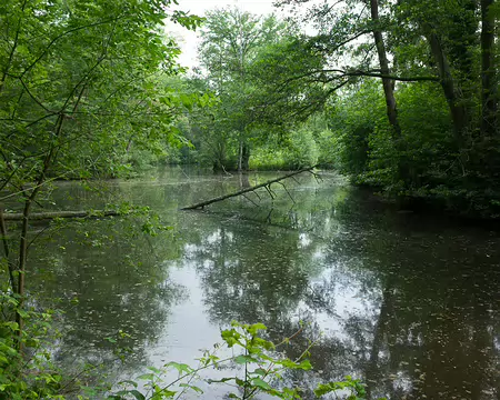 2016_06_12_10-18-38 Parc du château de Méry