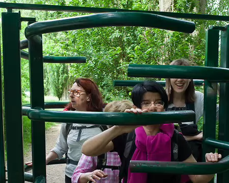 2016_06_12_11-20-14 Il faut ressortir !