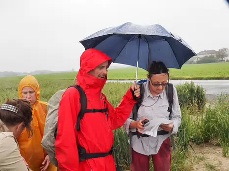 2016-06 Breuillet-Village