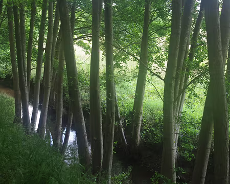 La Drouette près d’Orphin La Drouette près d’Orphin.