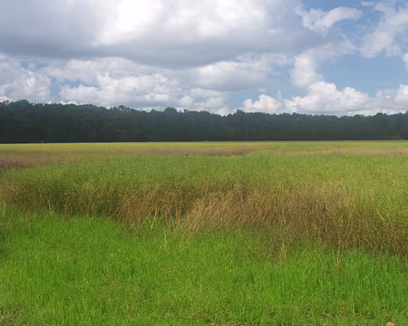 Retour à travers champs Retour à travers champs.