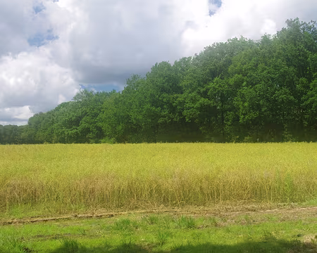 Retour à travers champs Retour à travers champs.