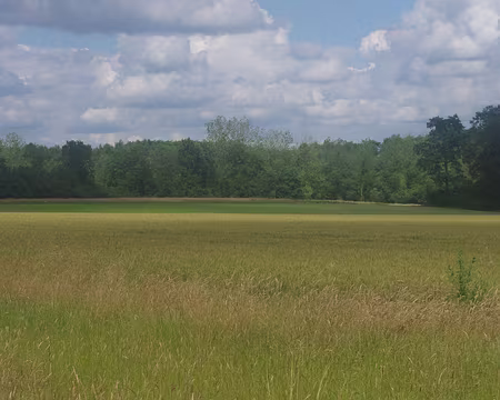 Retour à travers champs Retour à travers champs.