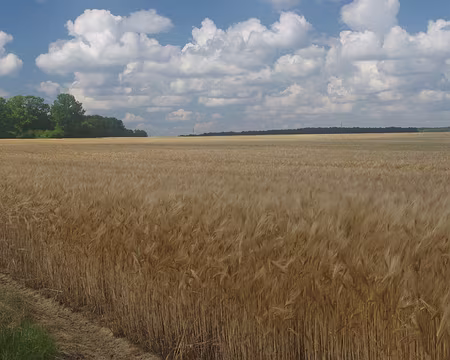 Retour à travers champs Retour à travers champs.