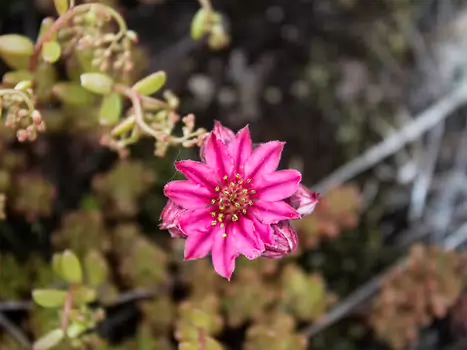 2016-06 Haute-Tarentaise