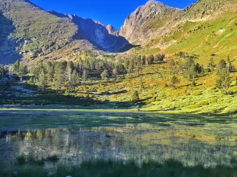 Eric Eric W, détail sortie