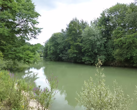 P1020229 ...L'île de Champigny