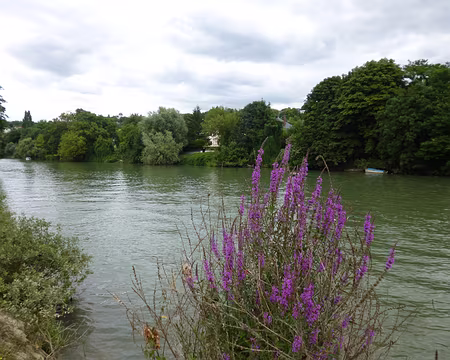 P1020240 Ile Casenave.