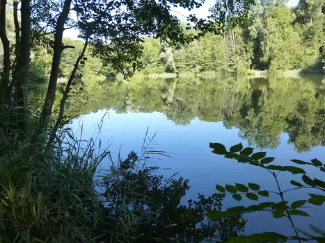 2016-07 Forêt de Carnelle