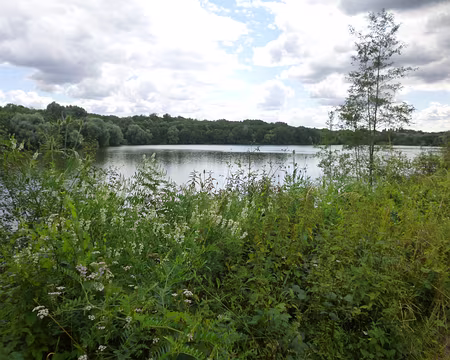 PXL010 Le bassin de Trévoix, 26 ha.