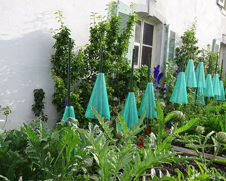 Jour 4 05072016 0748 (Régine)