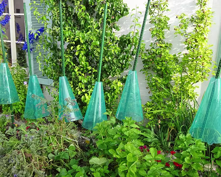 Jour 4 05072016 0749 (Régine)