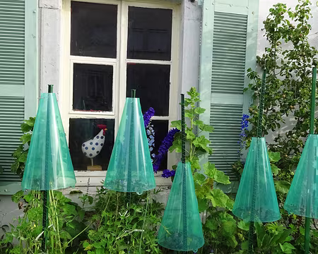 Jour 4 05072016 0751 (Régine)