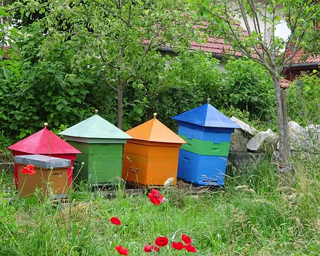 Jour 4 05072016 0752 (Régine)