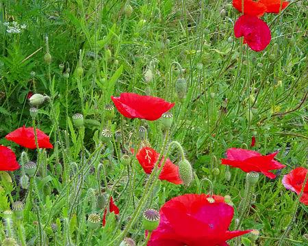 Jour 4 05072016 0753 (Régine)