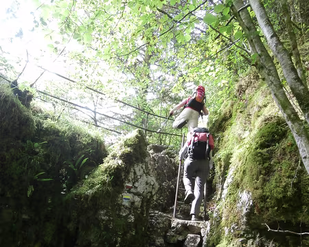 Jour 4 05072016 1007 (Danielle) petite échelle