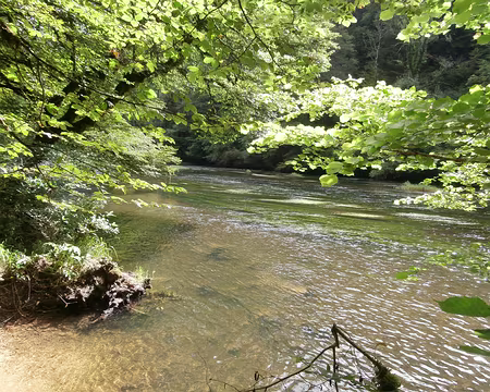 Jour 4 05072016 1014 (Danielle)