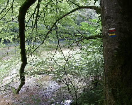 Jour 4 05072016 1015 (Danielle)