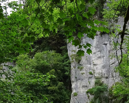 Jour 4 05072016 1224 (Régine)