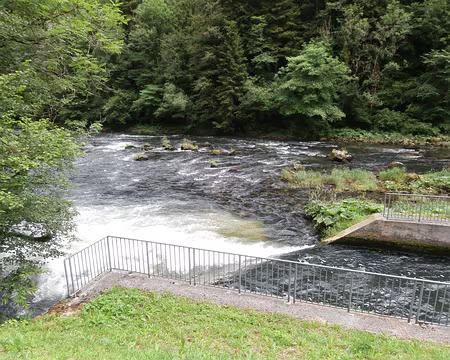 Jour 4 05072016 1258 (Danielle) le Refrain