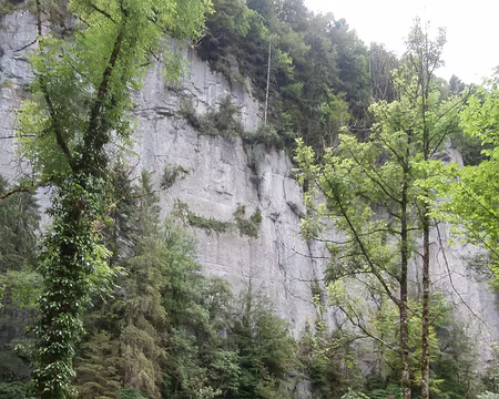 Jour 4 05072016 1406 (Danielle)