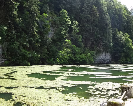 Jour 4 05072016 1453 (Régine)