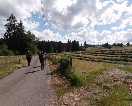 Jour 4 05072016 1709 (Danielle) de Fournet Blanche Roche à la ferme Morin