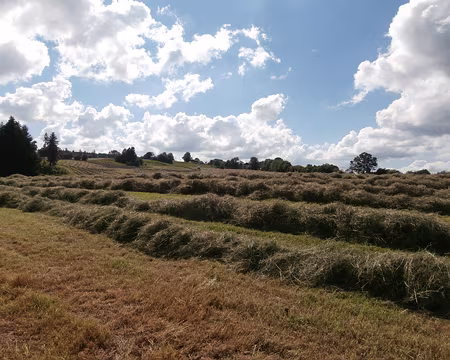 Jour 4 05072016 1710 (Danielle)