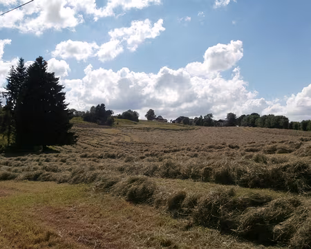 Jour 4 05072016 1711 (Danielle)