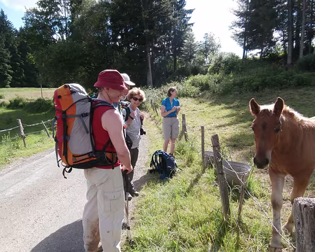 Jour 4 05072016 1713 (Danielle)