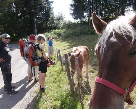 Jour 4 05072016 1715 (Danielle)