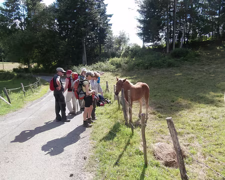 Jour 4 05072016 1716 (Danielle)