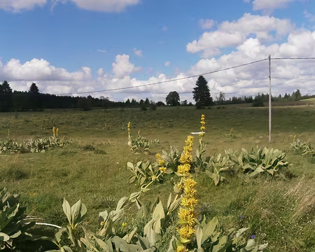 Jour 4 05072016 1737 (Monique)