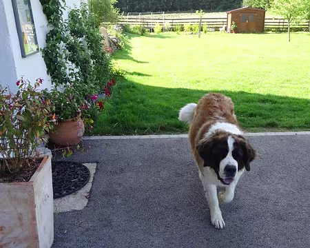 Jour 5 06072016 0900 (Régine)