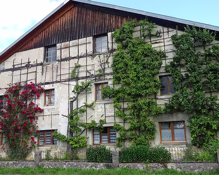 Jour 5 06072016 0953 (Régine)