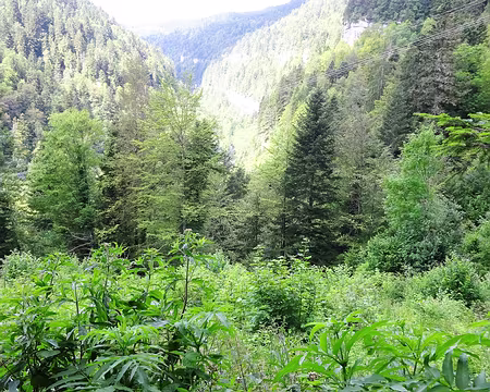 Jour 5 06072016 1055 (Régine)