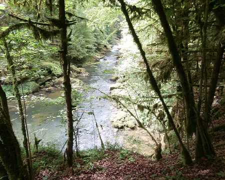 Jour 5 06072016 1212 (Danielle) sentier des gorges du Doubs